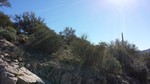 photo thumbnail #12