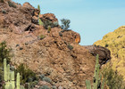 photo thumbnail #13