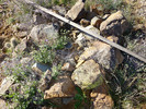 photo thumbnail #12