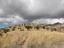 photo thumbnail #11