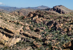 photo thumbnail #11
