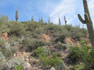 photo thumbnail #9