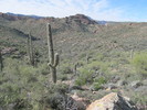 photo thumbnail #11