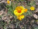 photo thumbnail #12