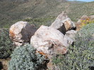 photo thumbnail #14