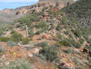 photo thumbnail #15
