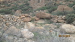 photo thumbnail #5