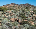 photo thumbnail #4