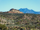 photo thumbnail #6