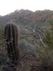 photo thumbnail #11