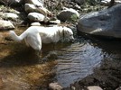photo thumbnail #2