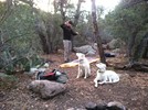 photo thumbnail #8