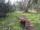 photo thumbnail #3