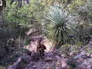 photo thumbnail #7