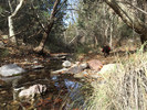 photo thumbnail #10