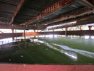 photo thumbnail #10