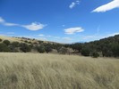 photo thumbnail #15