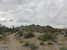 photo thumbnail #1