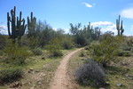 photo thumbnail #8
