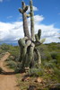 photo thumbnail #9
