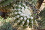 photo thumbnail #10