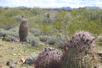 photo thumbnail #12