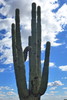 photo thumbnail #15