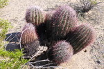 photo thumbnail #13