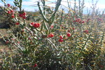 photo thumbnail #11