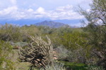 photo thumbnail #2