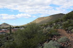 photo thumbnail #2
