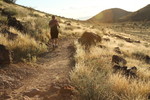 photo thumbnail #8