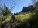 photo thumbnail #12