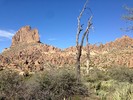 photo thumbnail #8