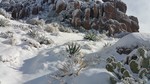 photo thumbnail #11