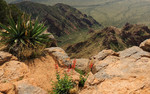 photo thumbnail #11