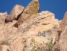 photo thumbnail #2