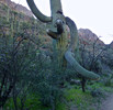 photo thumbnail #5