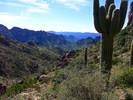 photo thumbnail #14