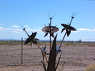 photo thumbnail #9