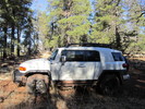 photo thumbnail #2