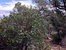 photo thumbnail #9