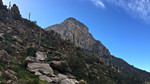 photo thumbnail #6