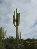 photo thumbnail #14