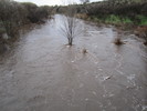 photo thumbnail #3