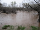 photo thumbnail #5