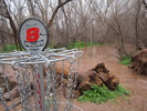 photo thumbnail #7