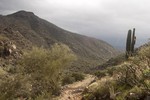 photo thumbnail #13