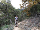 photo thumbnail #5