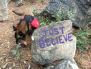 photo thumbnail #8